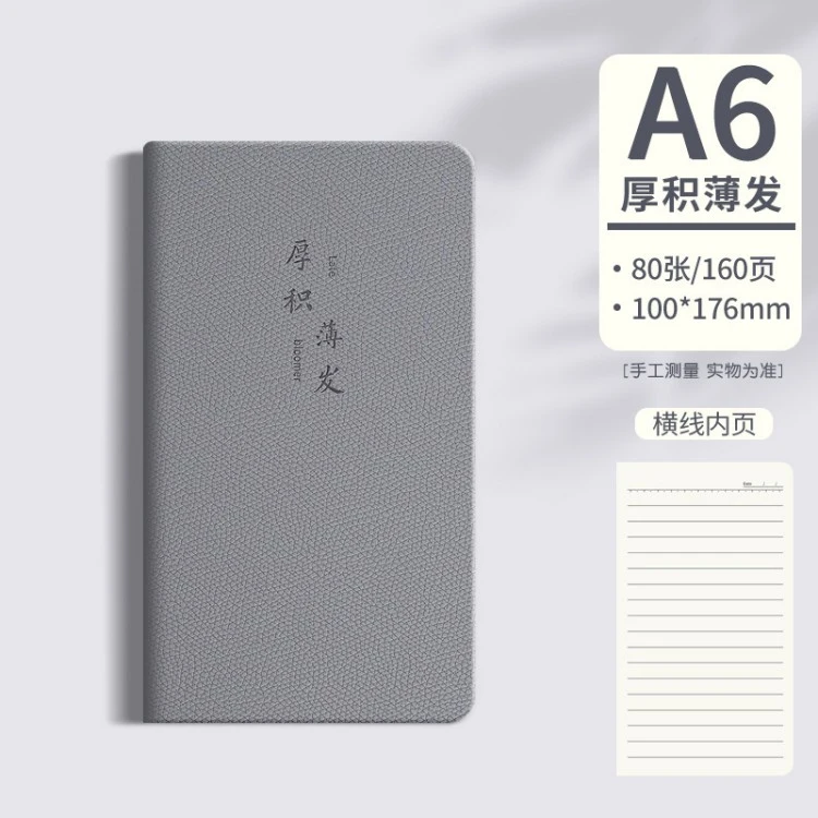 Daily Planner Notebooks color option 8